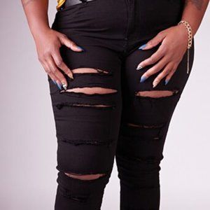 Tanny Distressed Skinny Plus